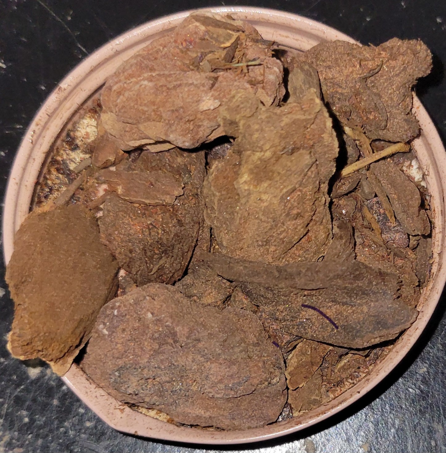 Jezebel Root